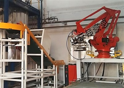 復(fù)合肥機(jī)器人拆垛機(jī) 全自動拆垛拆包設(shè)備